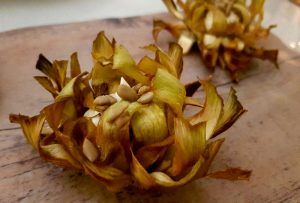 L´Artisan Restaurante